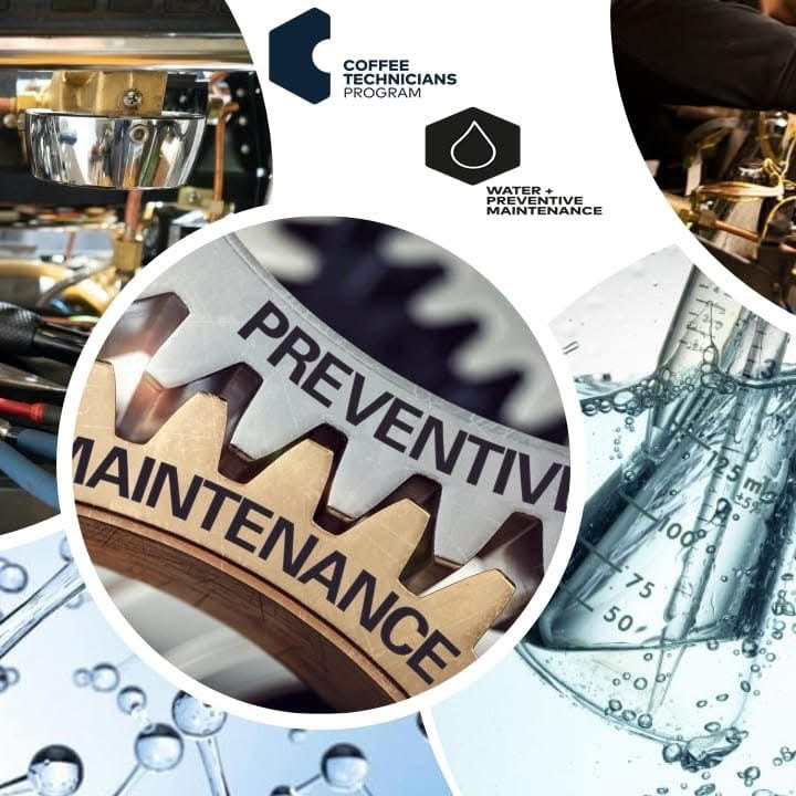 Professional coffee machine repair service